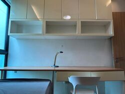 Twin Fountains (D25), Condominium #499765881